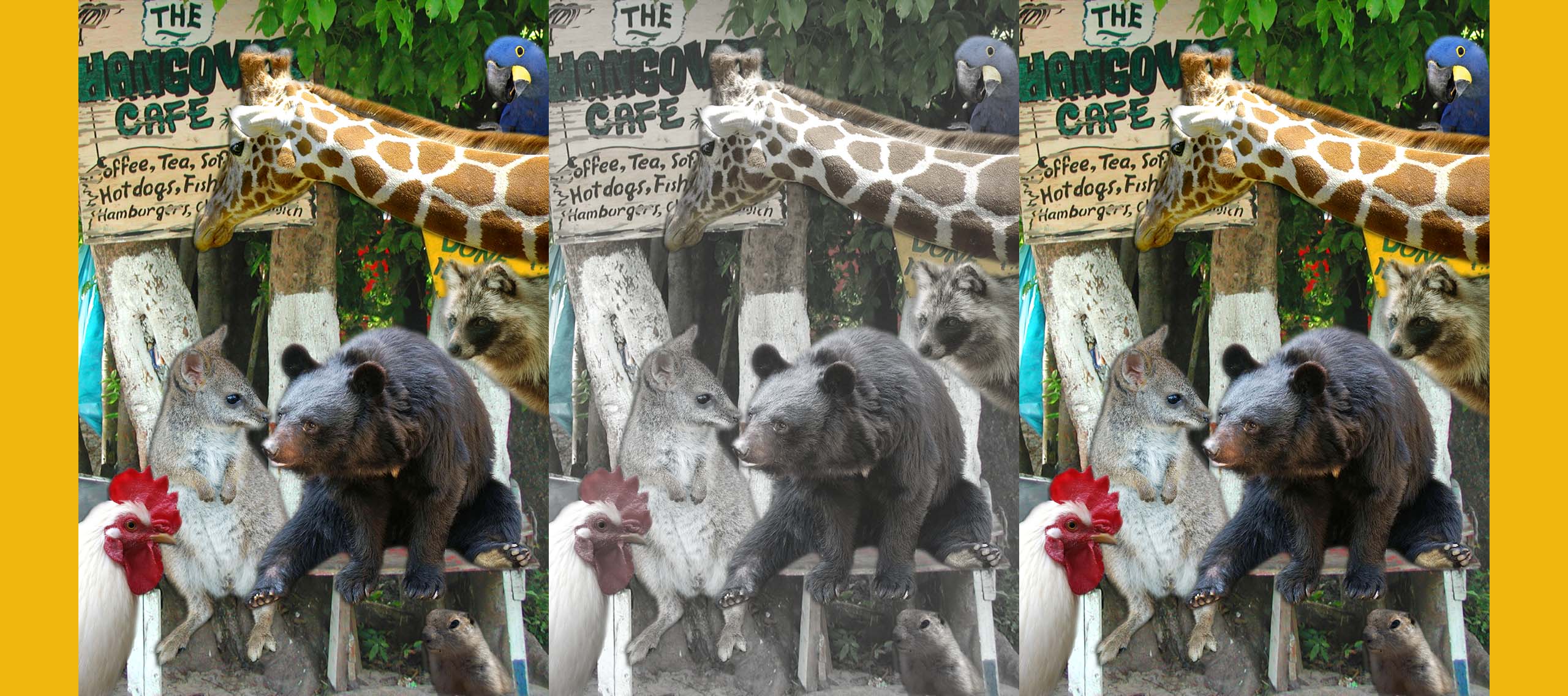 帝京科学大学【情報処理Ⅰ】サポートサイト